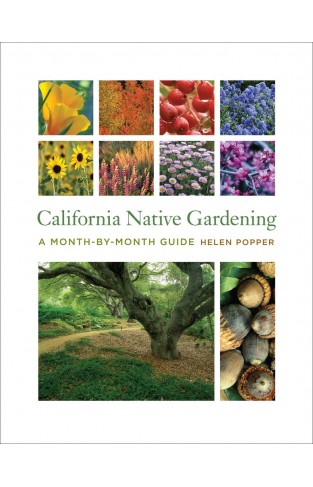 California Native Gardening: A Month-by-Month Guide